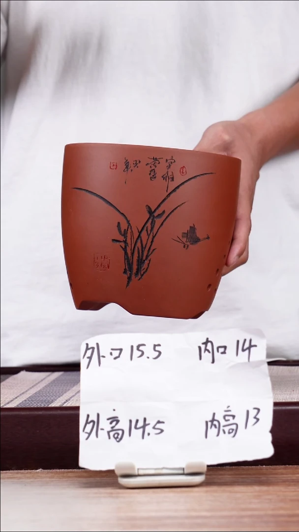 紫砂花盆清水泥君子兰2号一只带托
