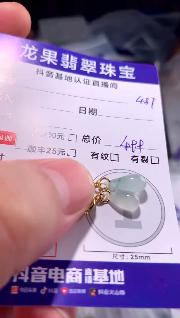 翡翠未镶嵌颈饰水滴         487