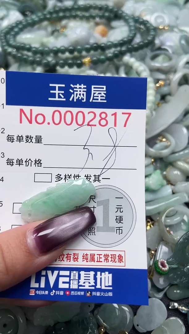 颈饰未镶嵌翡翠2817
