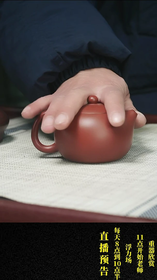 【闪购商品】紫砂茶壶紫砂 茶壶12