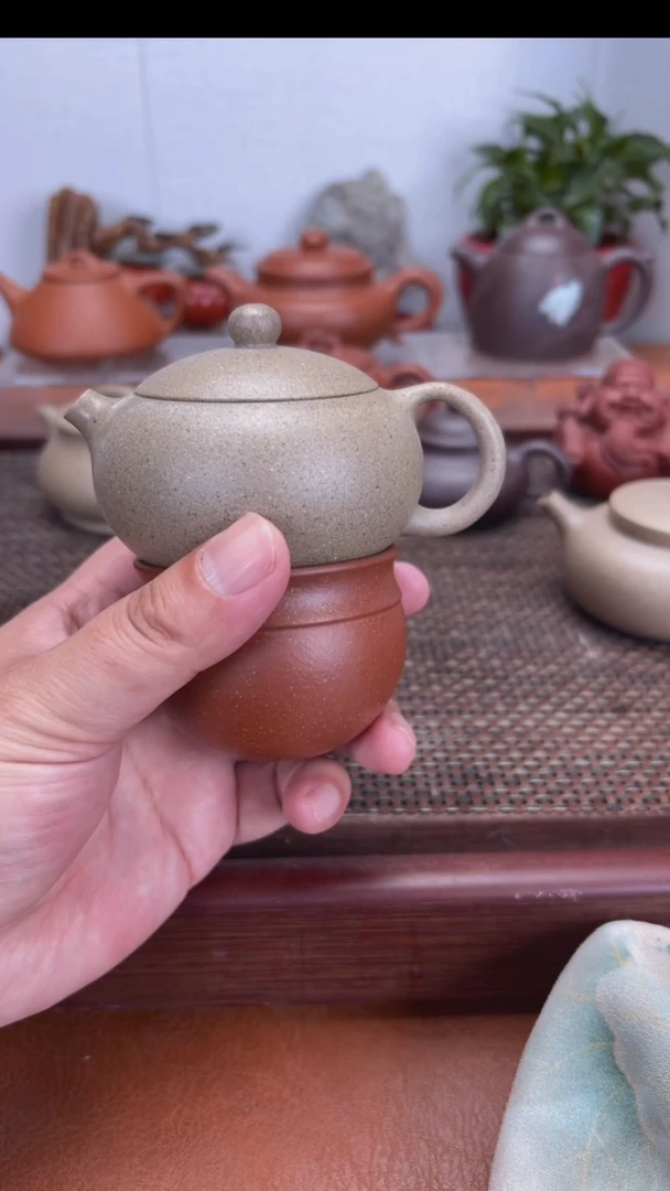 茶壶紫砂宜兴紫砂壶西施孤品