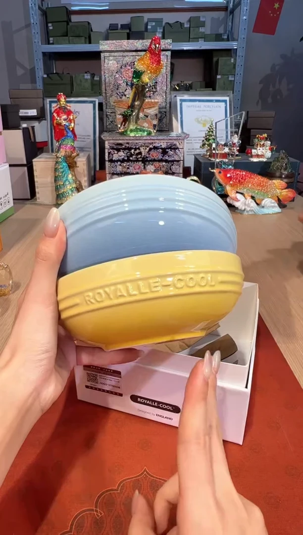 【闪购商品】杯ROYALLE-COOL（6寸面碗套二）