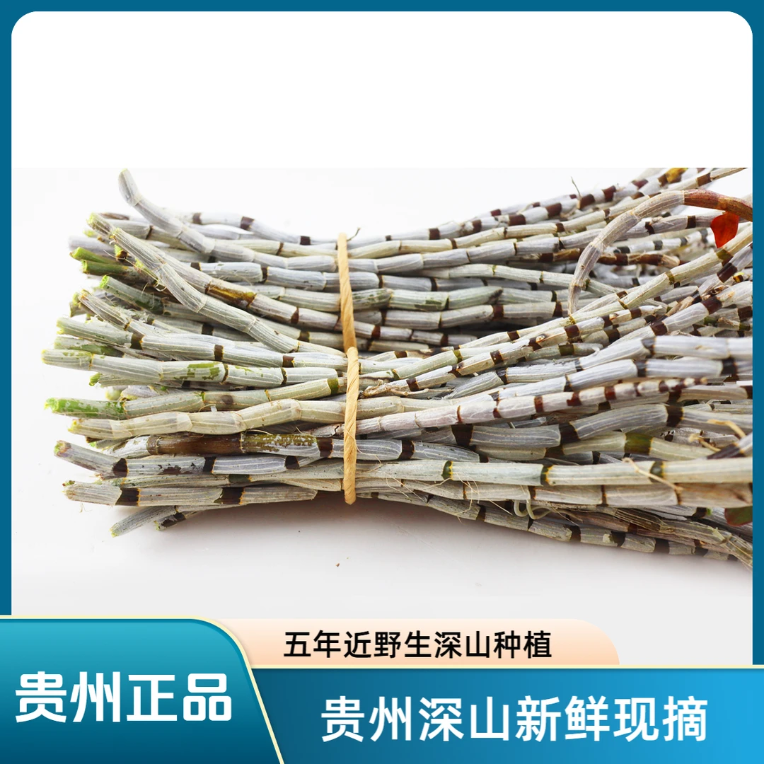 贵州深山铁皮石斛 新鲜现摘 煮水/榨汁/煲汤