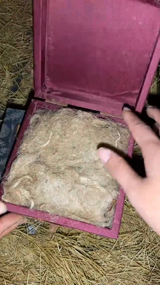 香榧木一一一一一一一一福利