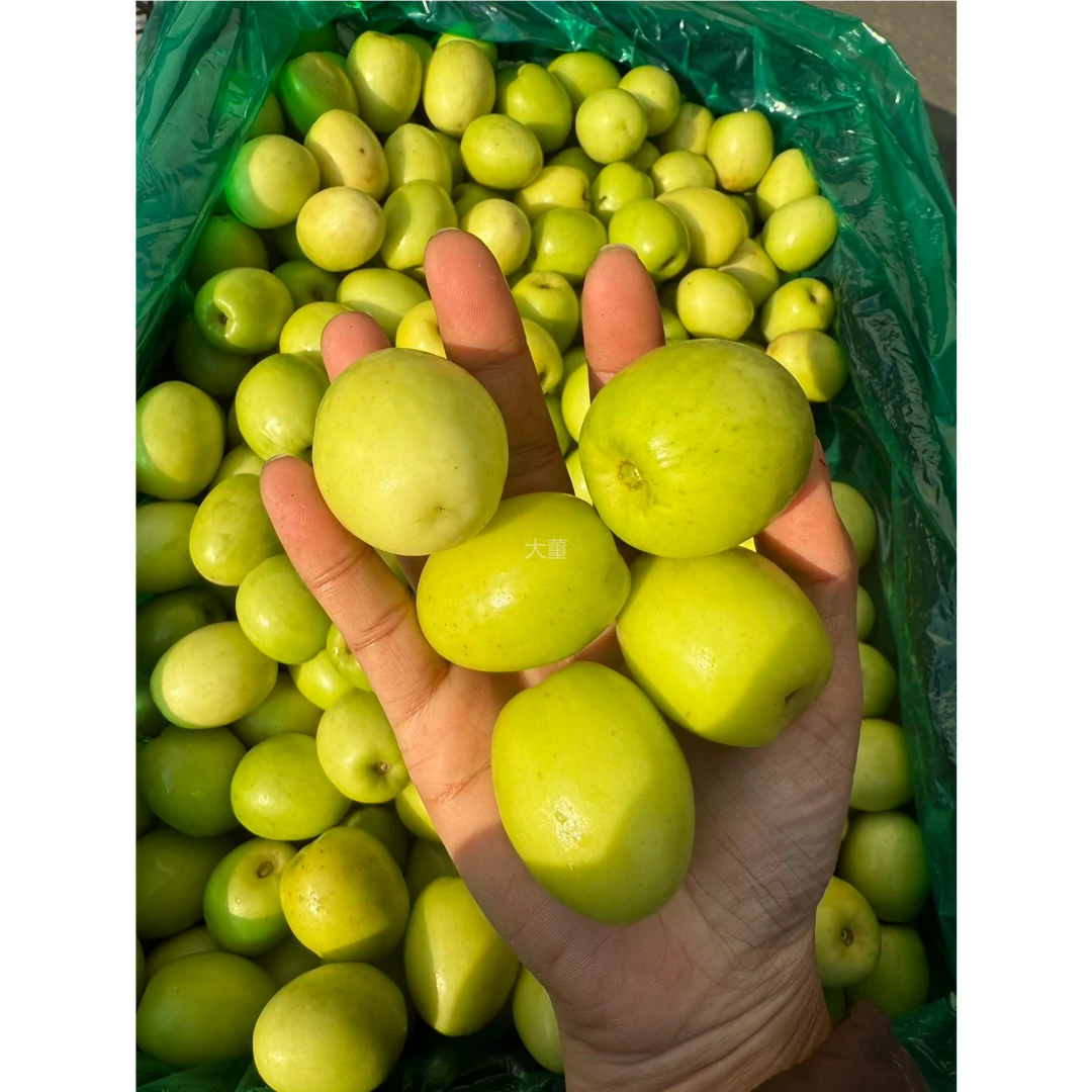 顺丰【大-董】珍珠奶油青枣 净重5斤/份