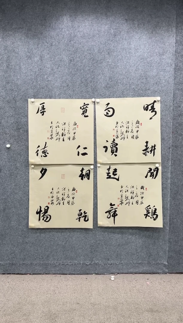 【闪购商品】书法pmw不二轩旗舰店书法ZXQ2