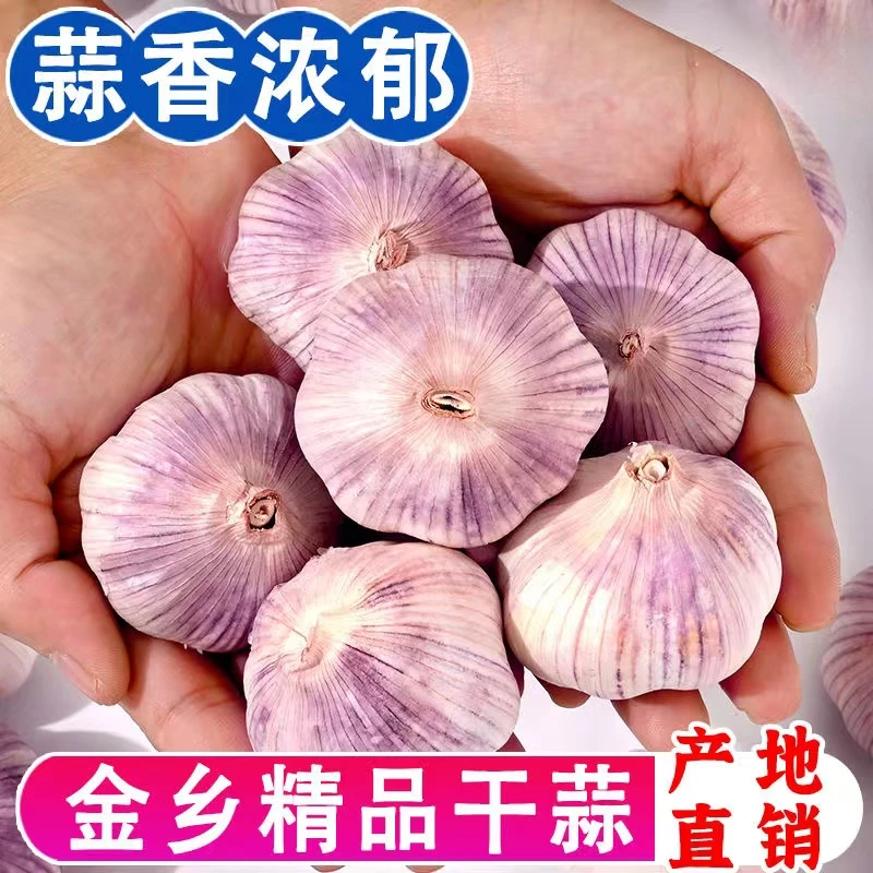 【大果带箱5斤】果径4.5cm紫白皮大蒜头干蒜紫皮大蒜子特级大蒜便宜