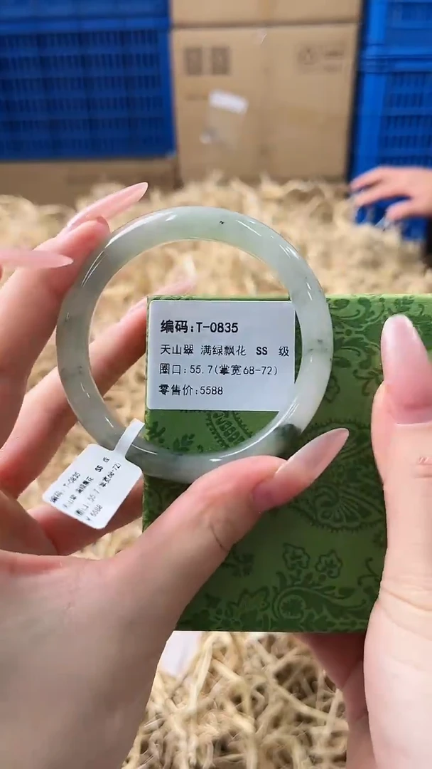 未镶嵌手镯石英质玉T-0835