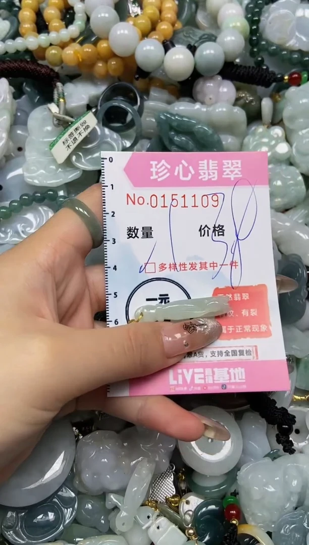 【闪购商品】翡翠颈饰未镶嵌闪购0151109多样性发其一