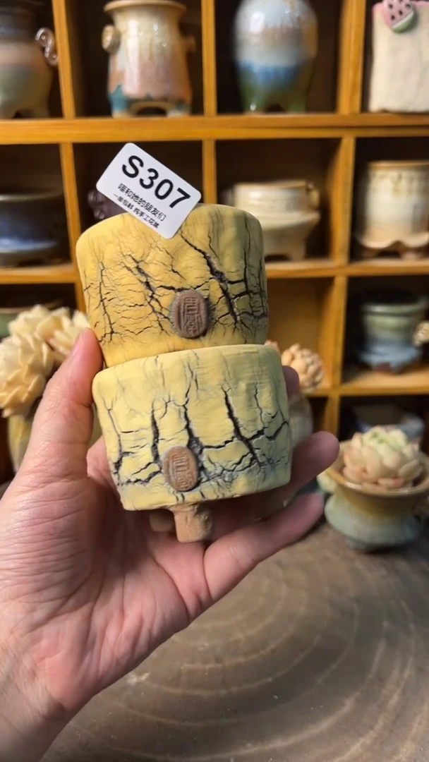 307 内口6【多肉花盆多肉盆】