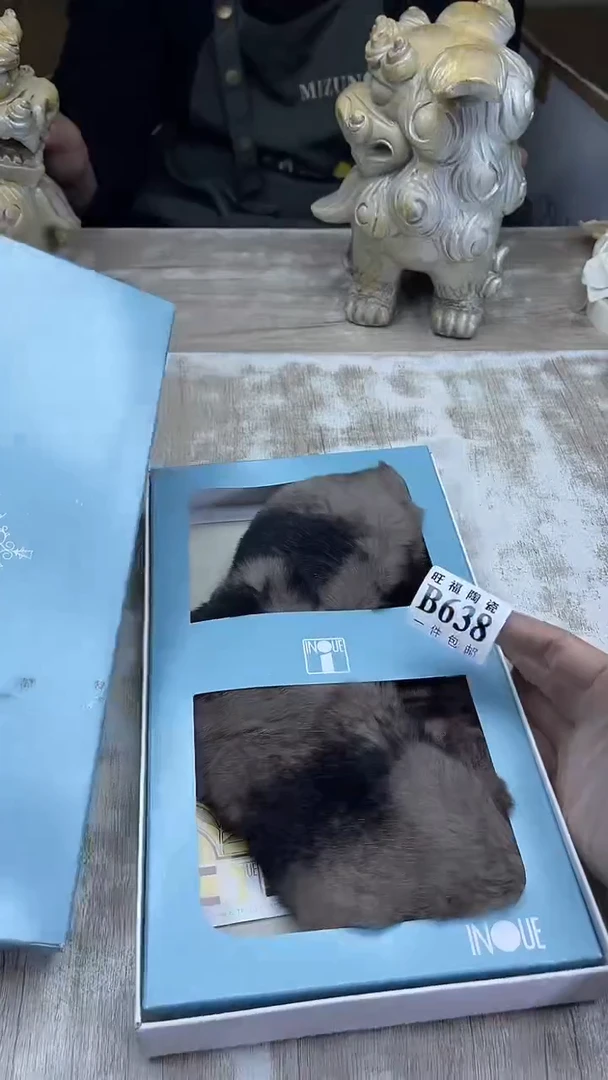 【闪购商品】瓷片旺福家陶瓷甄选