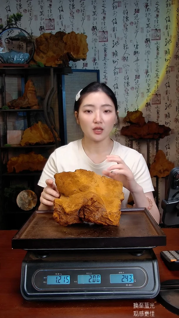 松针层孔菌中国大陆【藏区】松树桑黄（2.42斤）80-90年份