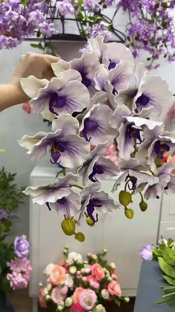 2枝紫色蝴蝶兰组合
