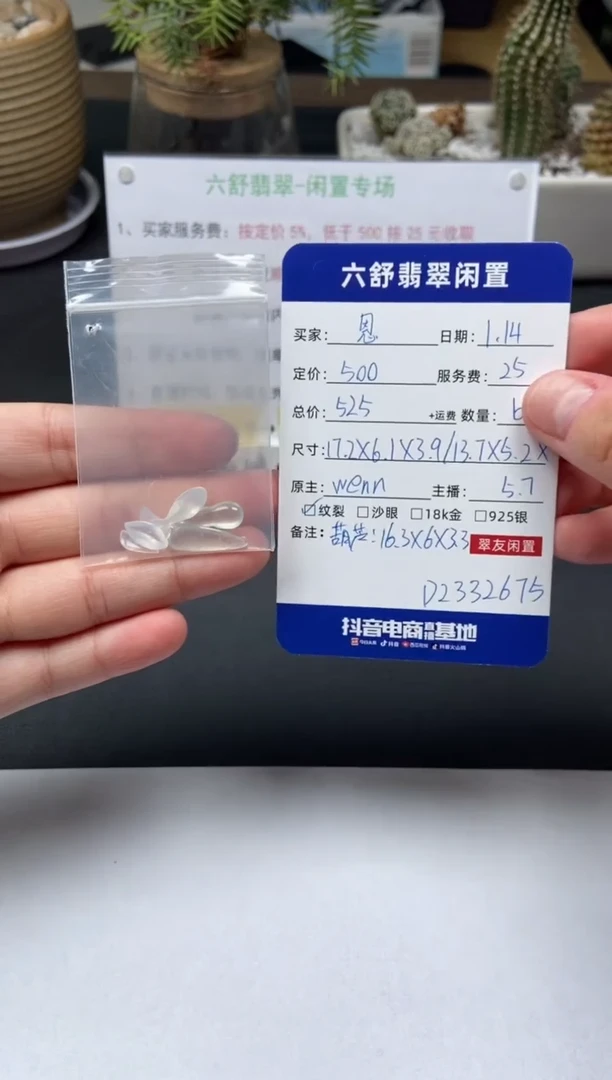 【闪购商品】翡翠颈饰未镶嵌D2332675