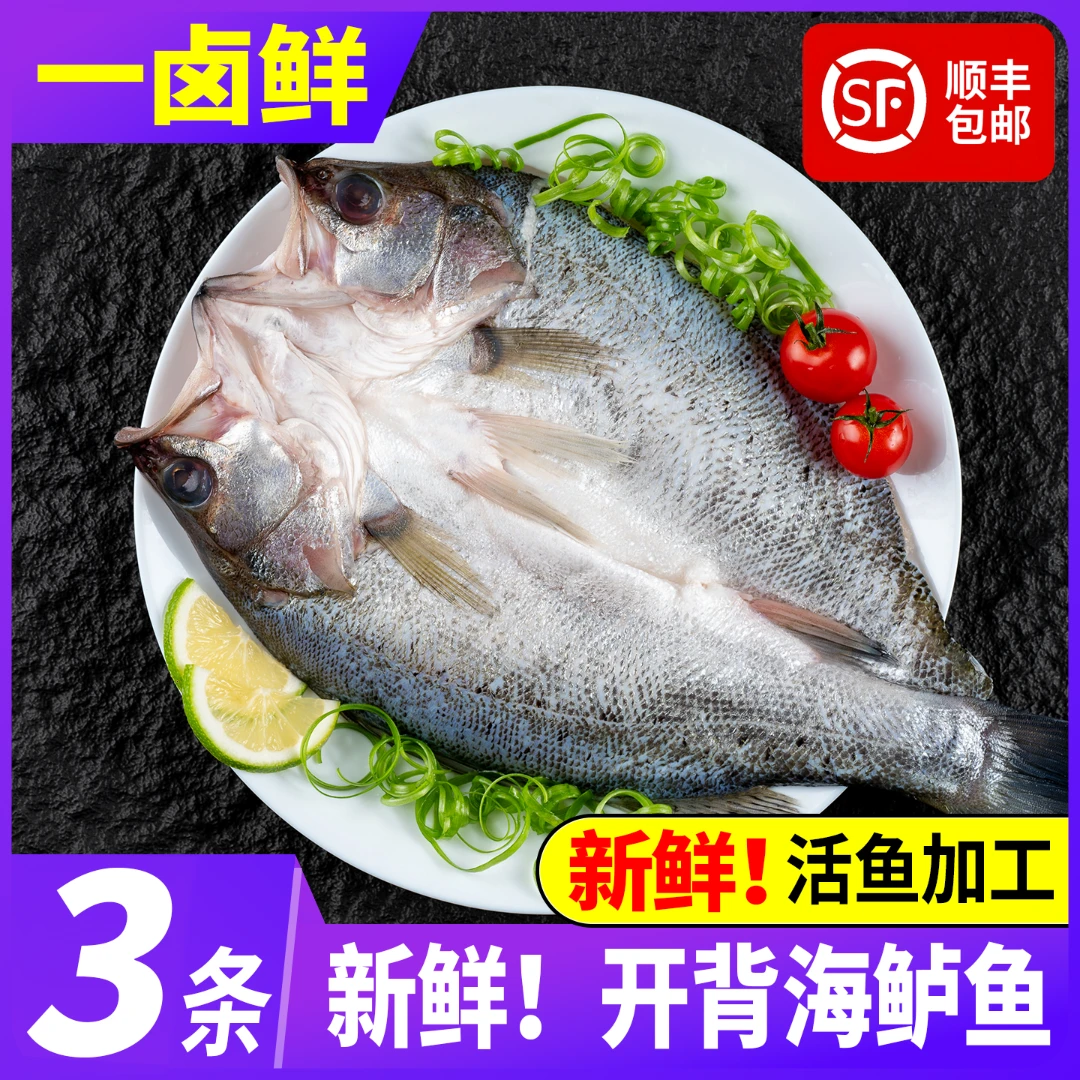 一卤鲜鲈鱼中蓝渔港新鲜开背海鲈鱼青岛深海冷链到家三去开背鲈鱼