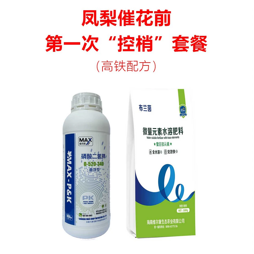 【布兰茵】凤梨催花前第一次“控梢”套餐