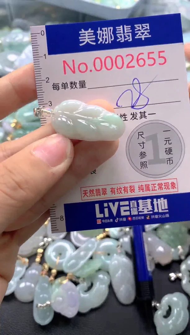 颈饰未镶嵌翡翠2655