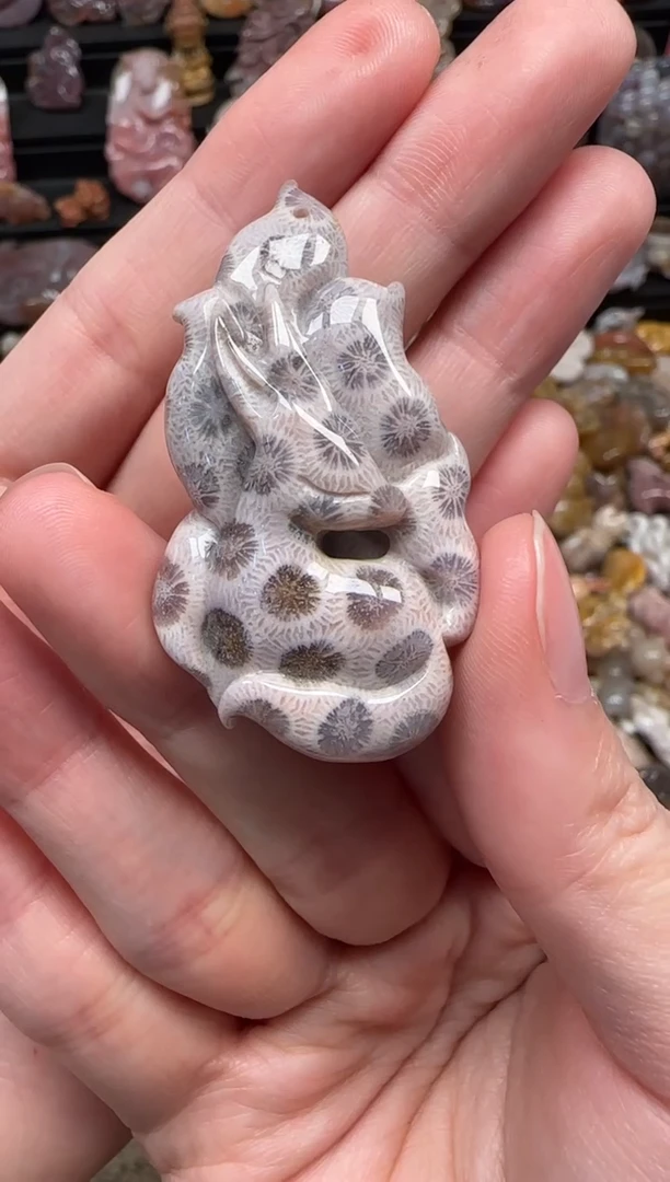 颈饰未镶嵌硅化珊瑚（珊瑚玉）888