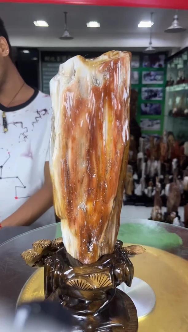 硅化玉珠宝奇石未镶嵌缅甸天然树化玉摆件