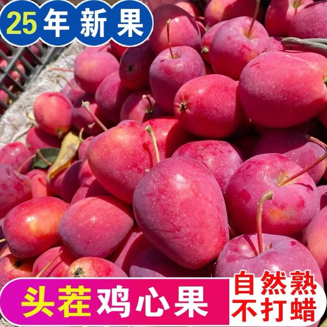 顺丰包邮25年东北马耳山鸡心果头茬现摘现发新果酸甜脆水果