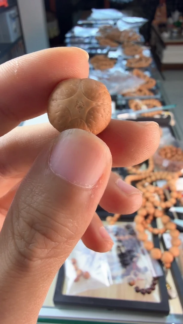 吊坠凤眼菩提3749 顶珠