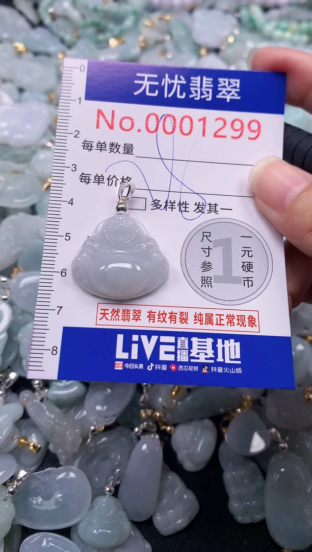 颈饰未镶嵌翡翠1299