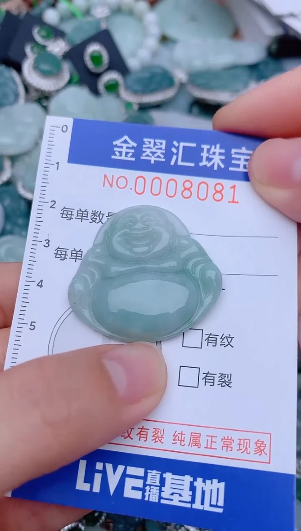 翡翠未镶嵌颈饰8081.....
