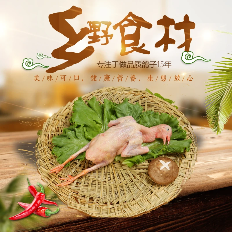 沂蒙山杂粮土鸽子活鸽宰杀顺丰发货鸽肉