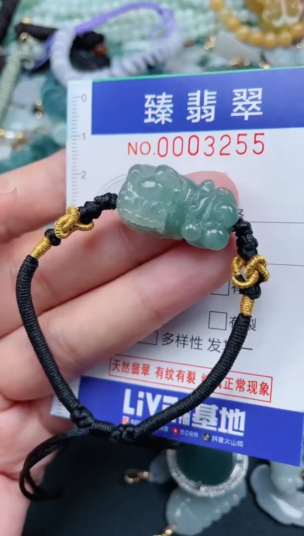 翡翠未镶嵌颈饰.0003255