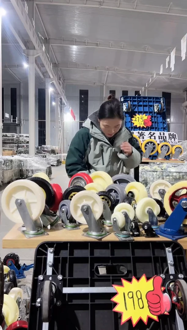 龙哥专属6寸单轮*2 万向*1