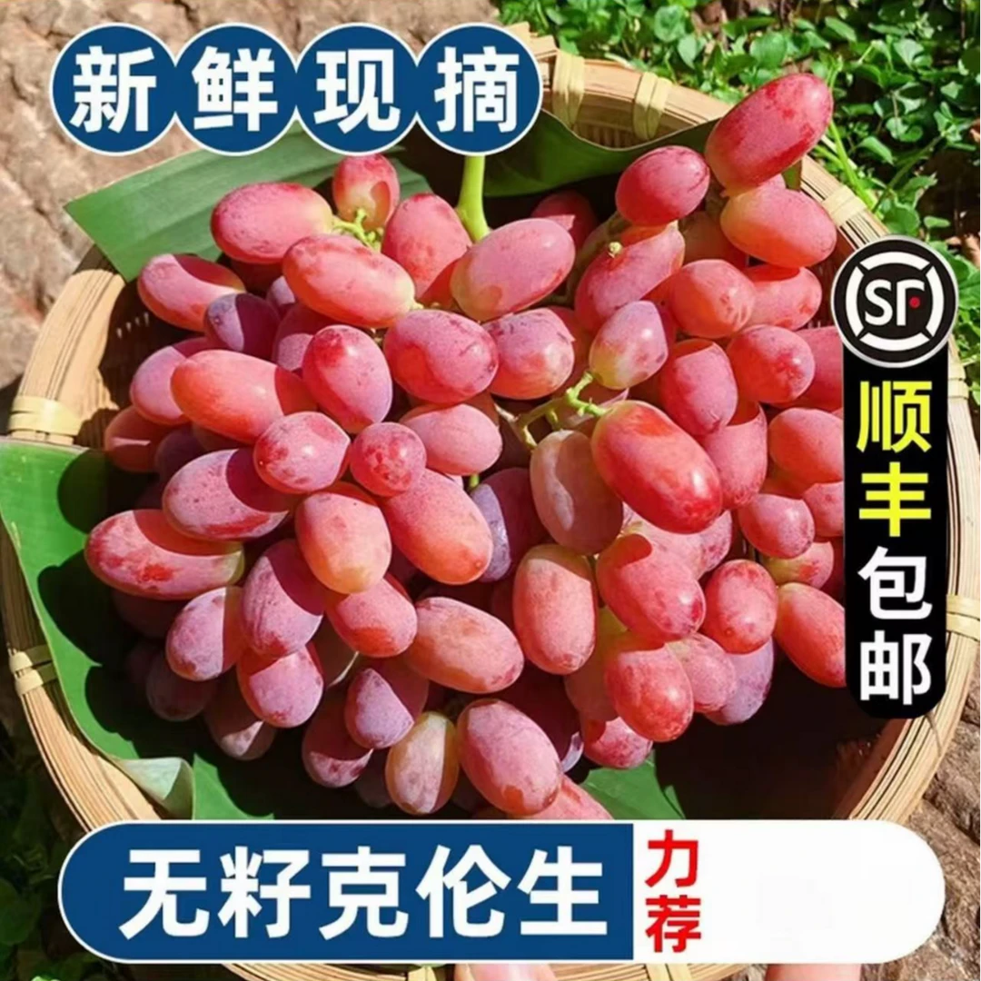 A克伦生无籽红提【顺丰冷链】孕妇水果当季无籽葡萄硬脆甜香甜多汁