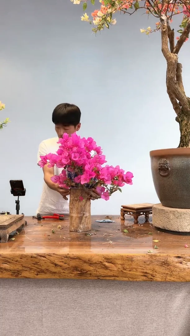 【闪购商品】aa954