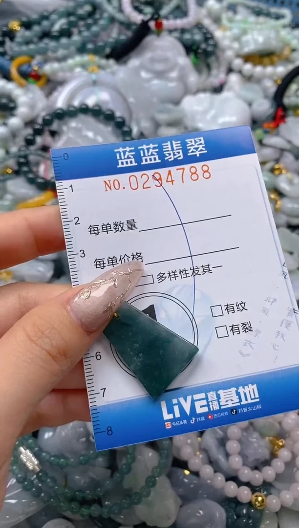 翡翠未镶嵌颈饰闪购0294788