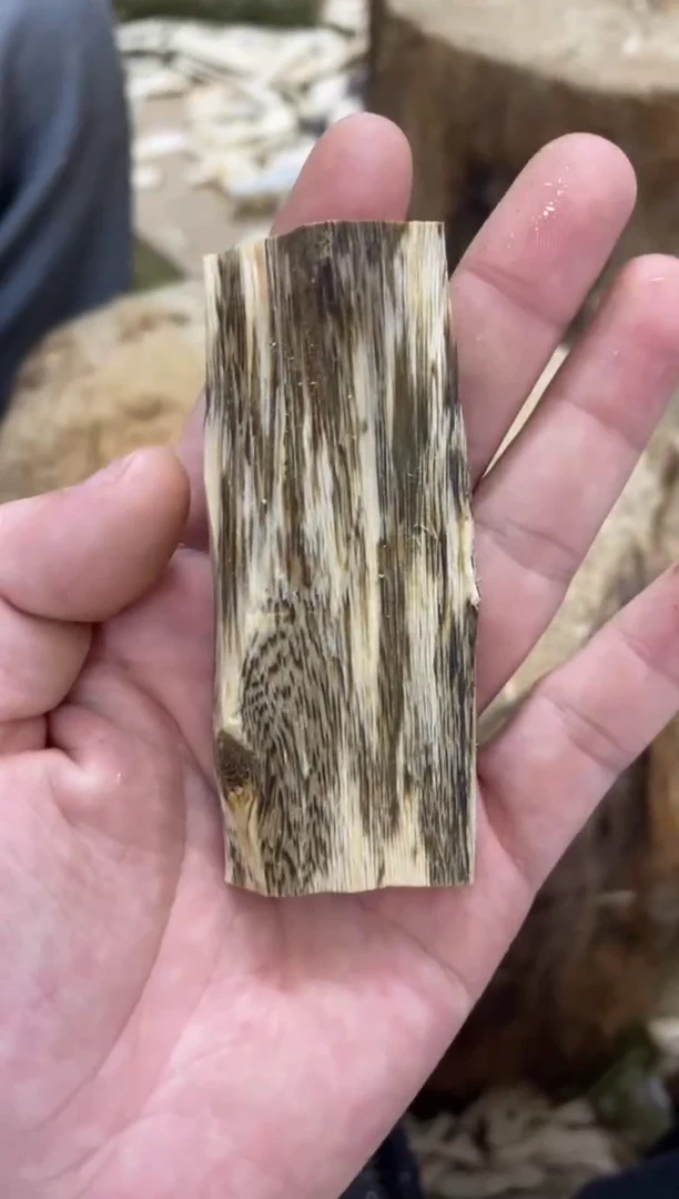 沉香沉香碎屑棋楠沉香 原料文创1