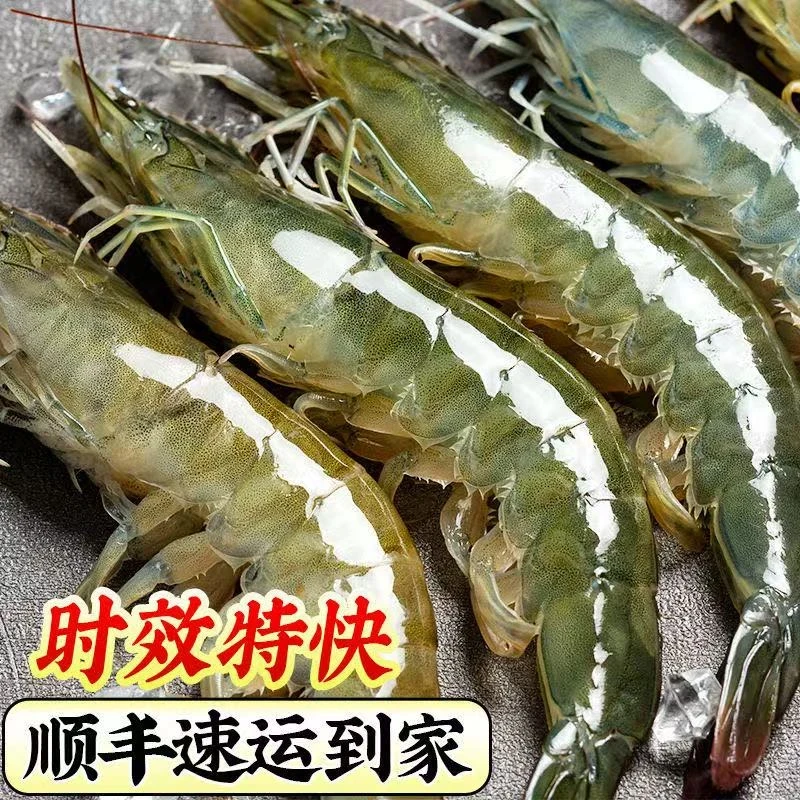 4斤/盒渔船上岸大号大虾单只17~19cm精品海鲜x