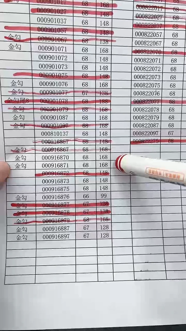 塑料大*2025年蛇年000916870