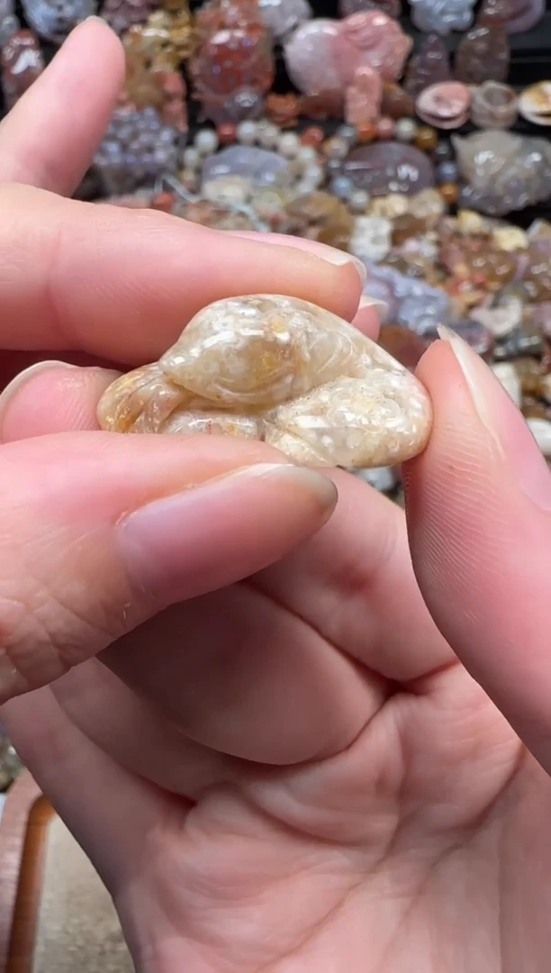 颈饰未镶嵌硅化珊瑚（珊瑚玉）771