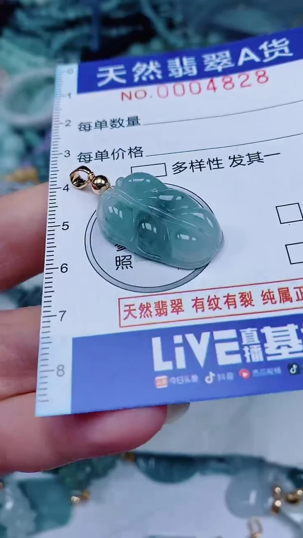 翡翠未镶嵌颈饰00004828