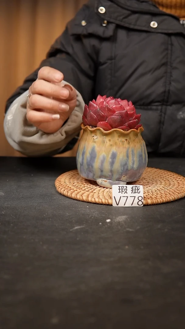 【闪购商品】瓷片778泥泥手工花盆口