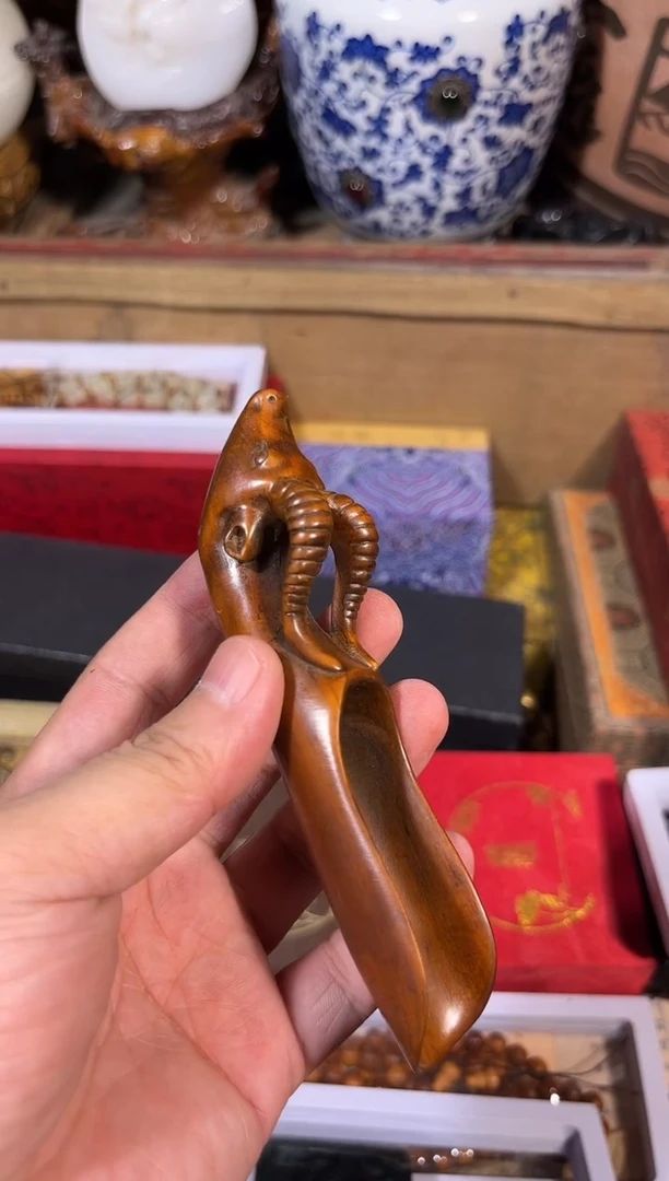 黄杨木111111111111111111