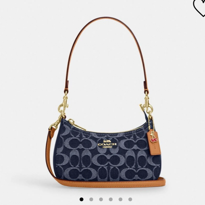 COACH/蔻驰Teri小号 香布雷  斜挎包（尺寸 20*13）