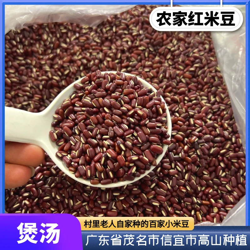 【米豆仔/饭豆仔】信宜本地村民老人家自种自晒小米豆仔黄豆可煲汤