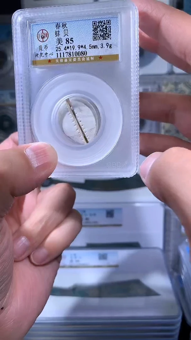 【闪购商品】铜御泉收藏蚌bei一枚