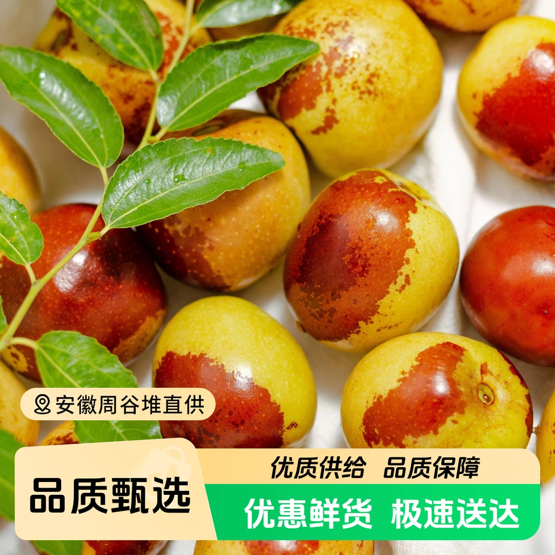 【江浙沪次日达】陕西高钙冬枣大果净2.8斤脆甜优质甄选（13）陕西省