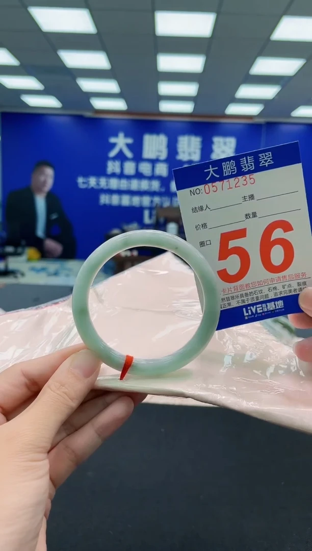 未镶嵌手镯翡翠AAAAAAAAA