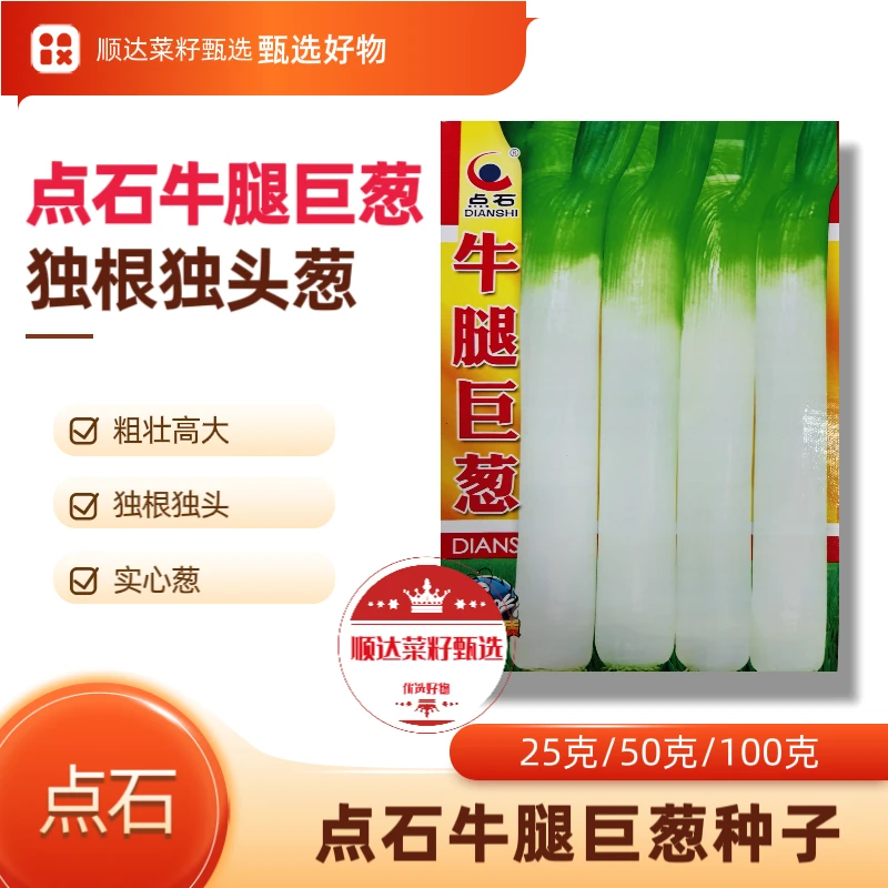 【点石牛腿巨葱】大葱种子