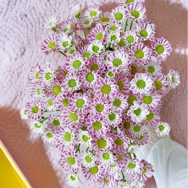 【顺丰发货】小斑纹雏菊鲜花1-4单一个运费自选品种