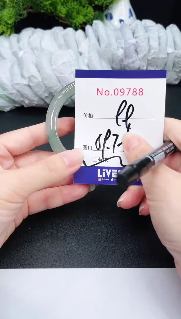 未镶嵌手镯翡翠9788