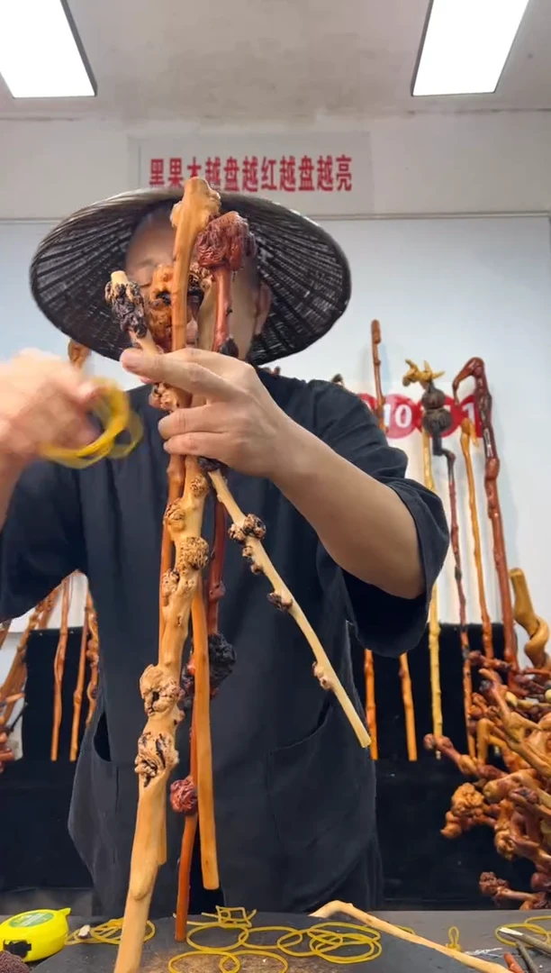 黑果木其他黑果木532