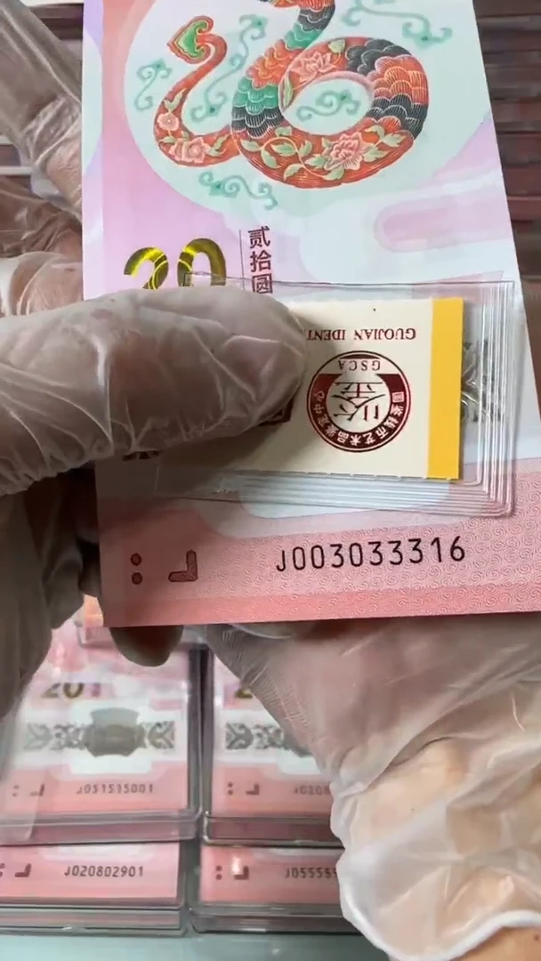 【闪购商品】塑料蛇钞单张-003033316